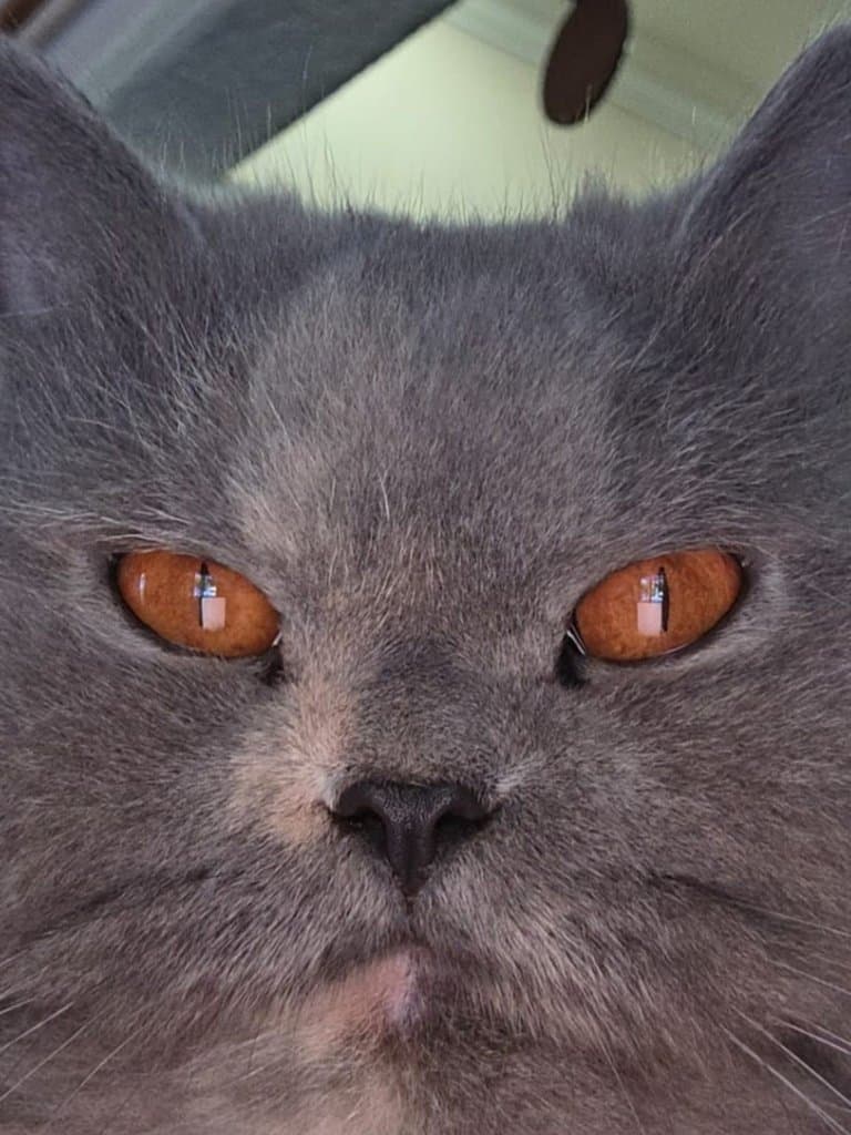 Original photo of Smokey